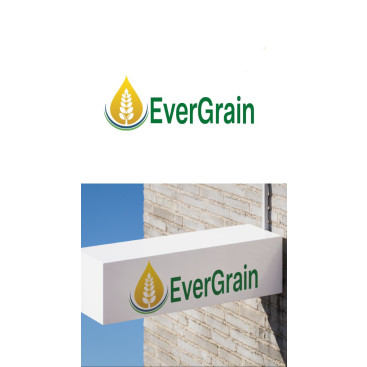 EverGrain LLC yarışmasına tasarımcı mbeyzap tarafından sunulan  tasarım 