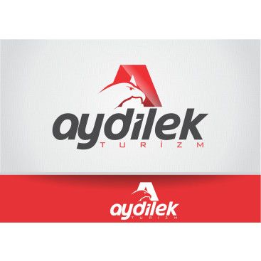 TURİZM TAŞIMA FİRMAMIZA LOGO VE KURUMSAL yarışmasına tasarımcı RΛPİDO tarafından sunulan  tasarım 