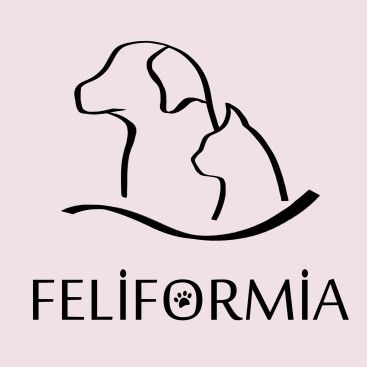 SANAL MARKETimiz için Logo TASARIMI yarışmasına tasarımcı szgt tarafından sunulan  tasarım 