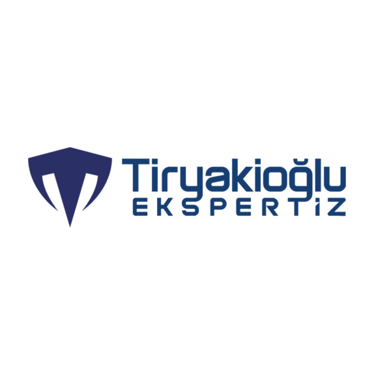 Tasarlayan Ersin Esra-Tiryakioğlu Ekspertiz - LOGO