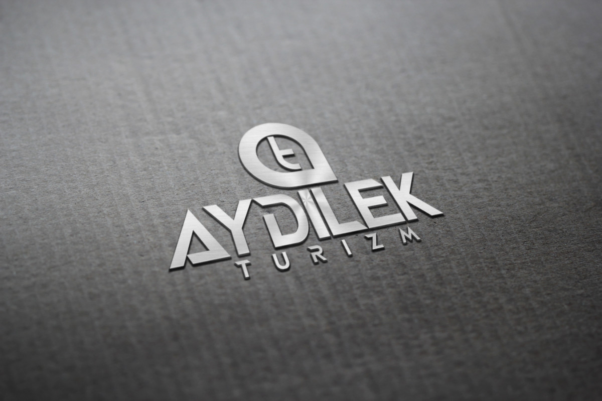 Tasarlayan 724 Designer-TURİZM TAŞIMA FİRMAMIZA LOGO VE KURUMSAL