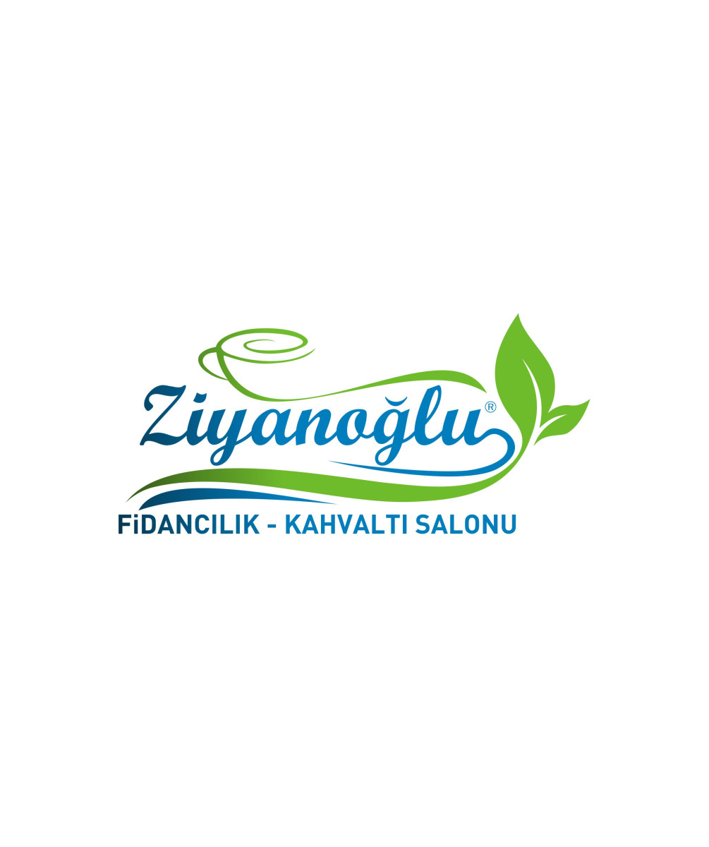 Tasarlayan RΛPİDO-GÜZEL,ESTETİK VE USTACA YAPILMIŞ