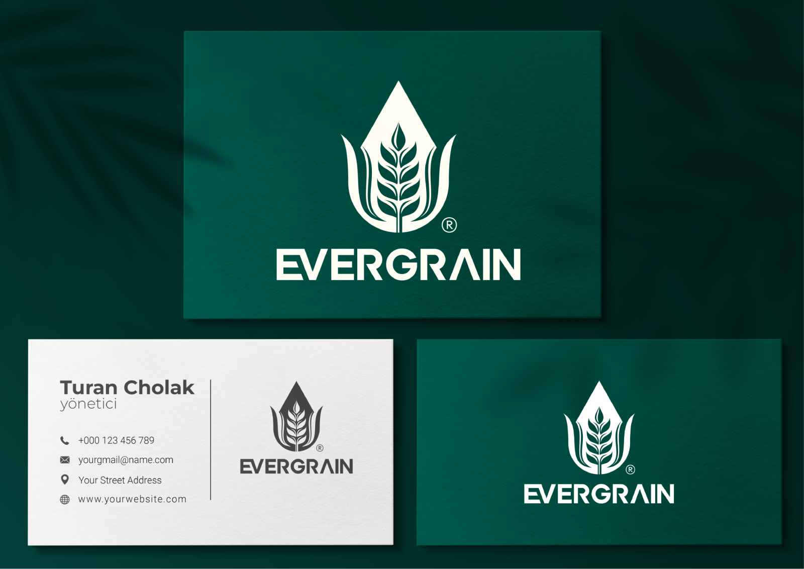 Tasarlayan MS™-EverGrain LLC