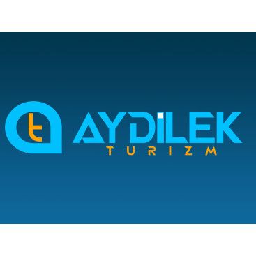 TURİZM TAŞIMA FİRMAMIZA LOGO VE KURUMSAL yarışmasına tasarımcı 724 Designer tarafından sunulan  tasarım 