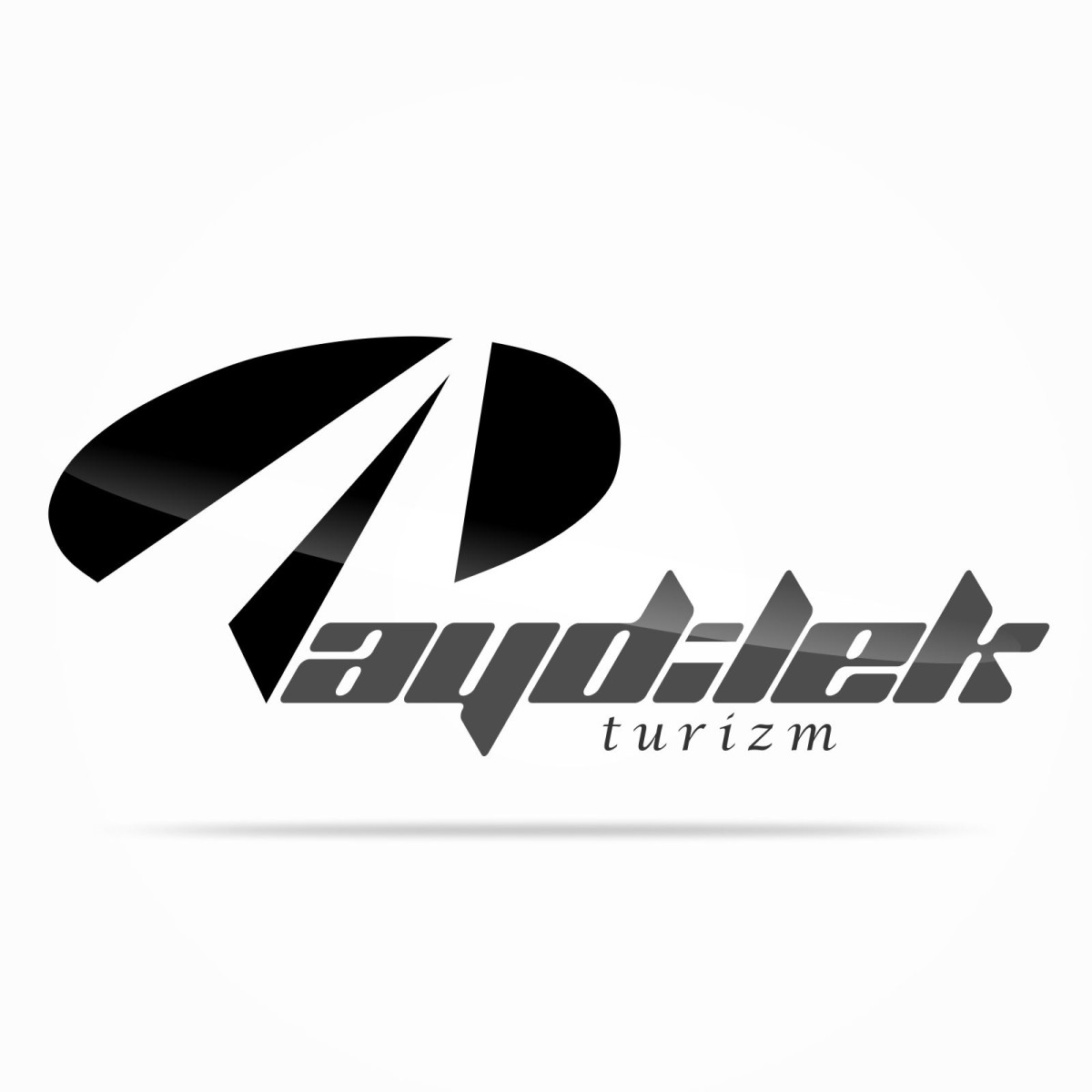 Tasarlayan Kızılelma_03-TURİZM TAŞIMA FİRMAMIZA LOGO VE KURUMSAL