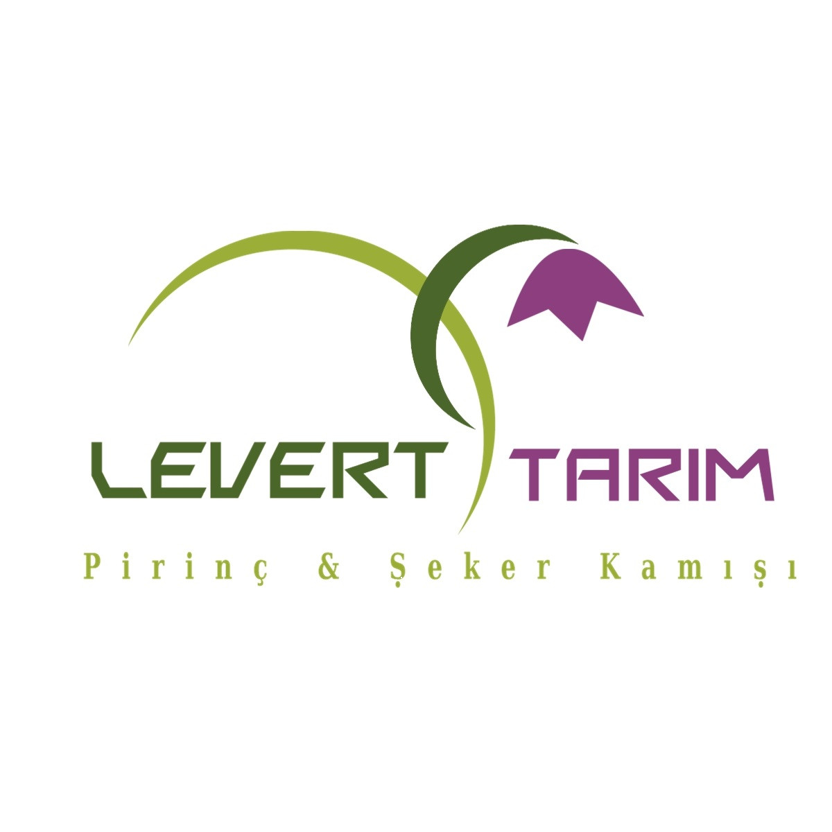 Tasarlayan KnockOut-Zarif ve Ciddi Logo Design