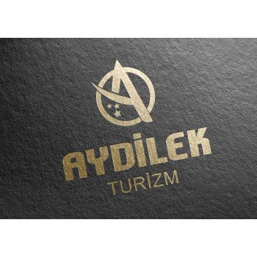 TURİZM TAŞIMA FİRMAMIZA LOGO VE KURUMSAL yarışmasına tasarımcı siliconvalley tarafından sunulan  tasarım 