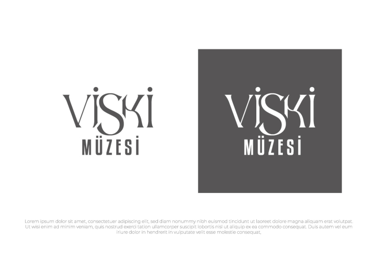 Tasarlayan dcreagraph-VİSKİ MÜZESİ LOGO