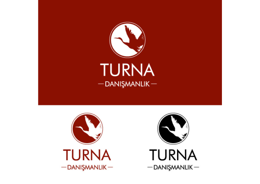 Danışmanlık Şirketi Logo Tasarımı yarışmasına tasarımcı dcreagraph tarafından sunulan  tasarım 