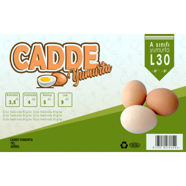 Cadde Logo Tasarım Yarışması yarışmasına tasarımcı GÖKBÖRÜ tarafından sunulan  tasarım 