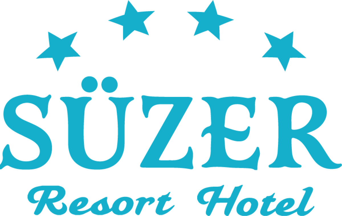 Tasarlayan pdiddy-4 YILDIZLI HOTEL İÇİN LOGO ÇALIŞMASI