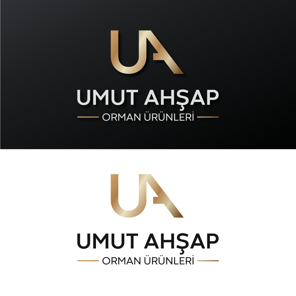 Tasarlayan TASARLATASARLAT - 268672-ilk logo ilk tasarım