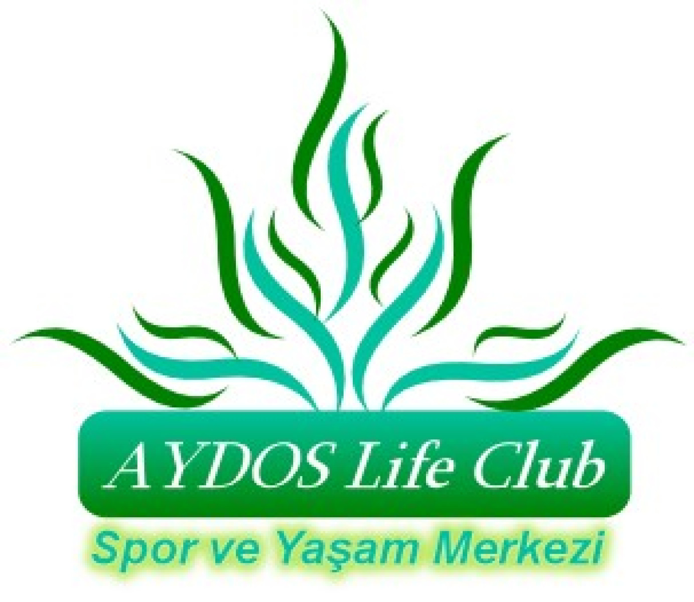 Tasarlayan tianko-Spor Merkezine Kurumsal Kimlik
