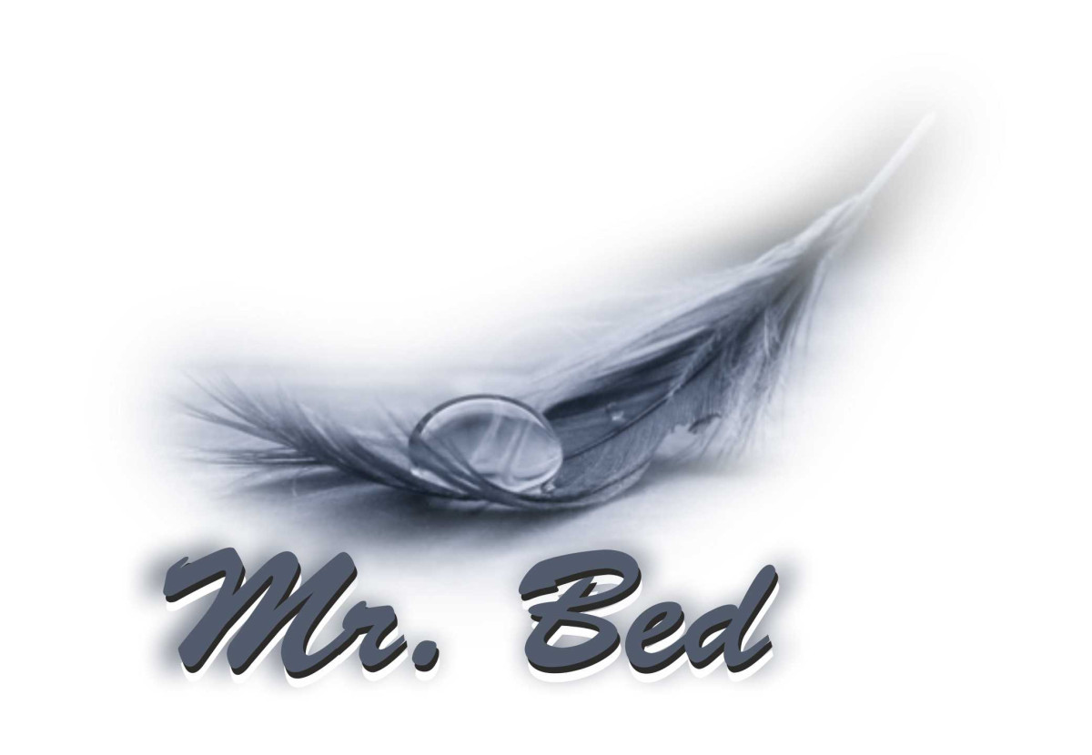 Tasarlayan kahramannyilmaz-Mr. Bed 