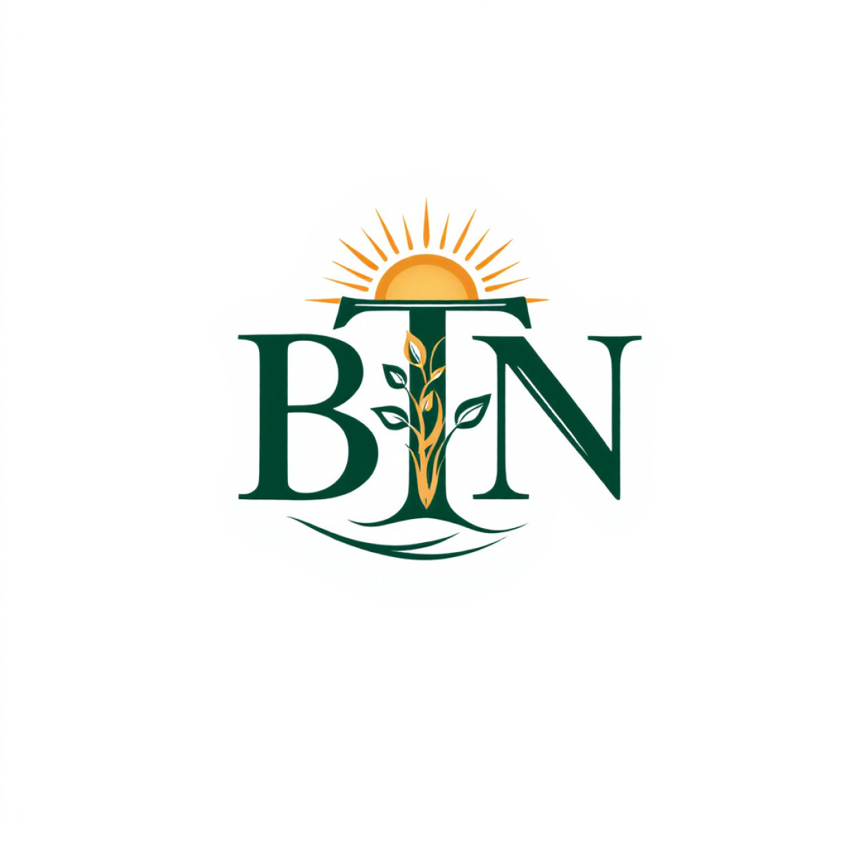 Tasarlayan siasa-BTN YATIRIM A.Ş. LOGO TASARIM
