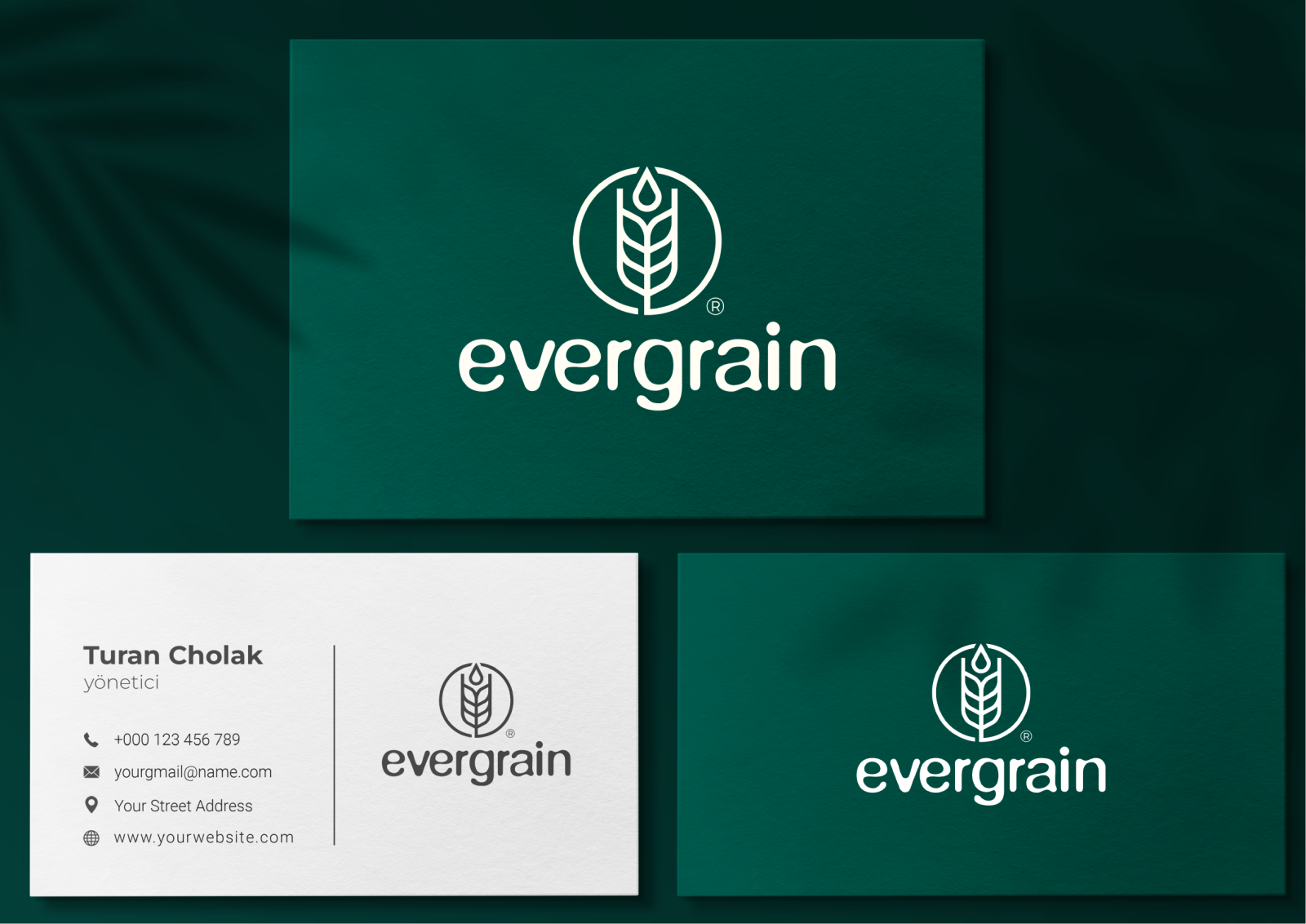 Tasarlayan MS™-EverGrain LLC