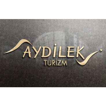 TURİZM TAŞIMA FİRMAMIZA LOGO VE KURUMSAL yarışmasına tasarımcı siliconvalley tarafından sunulan  tasarım 
