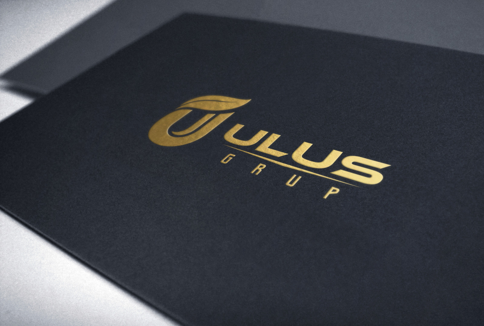 Tasarlayan zydesign-AİLE ŞİRKETİMİZ İÇİN ULUS'A YAKIŞIR LOGO