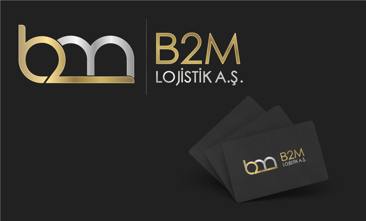 Tasarlayan Graffin_Bey-Lojistik şirketi kurumsal+logo 