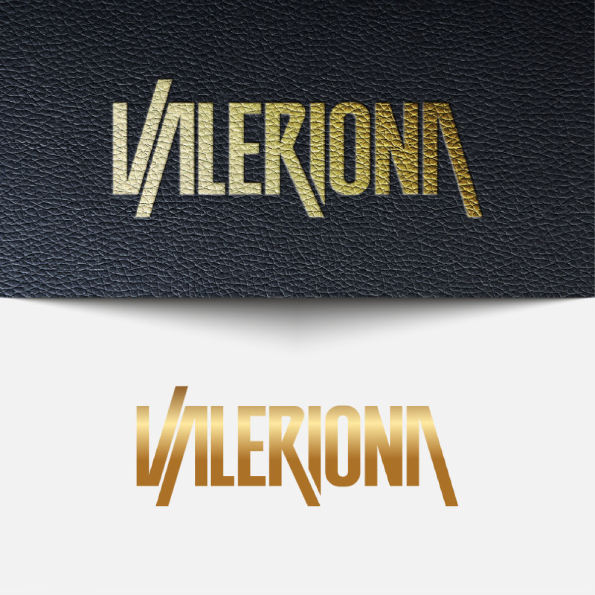 Tasarlayan MS™-Kadın çanta üretimi ve online satışlı yapacağımız markamıza logo arıyoruz. 