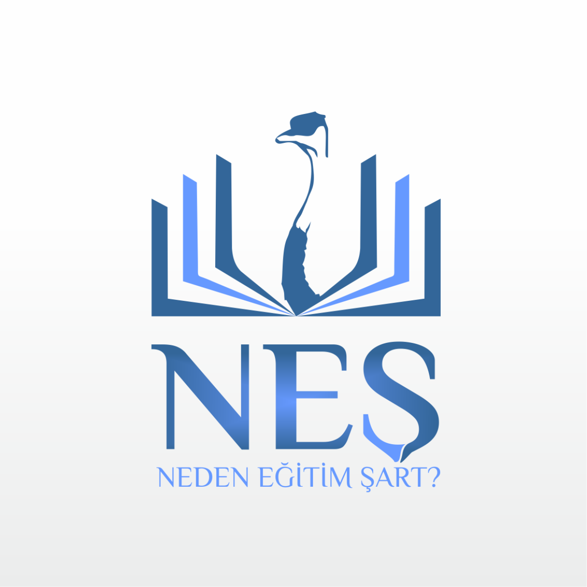 Tasarlayan Morbelium Grafik-NEŞ LOGO
