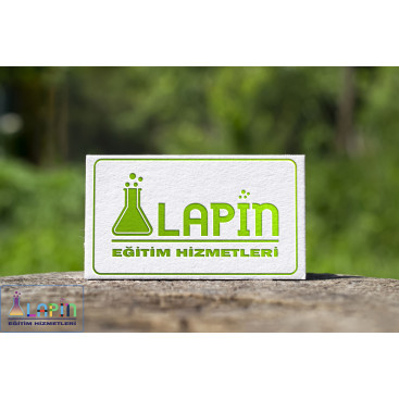 Lapin Eğitim Hizmetleri  yarışmasına tasarımcı myben design tarafından sunulan  tasarım 