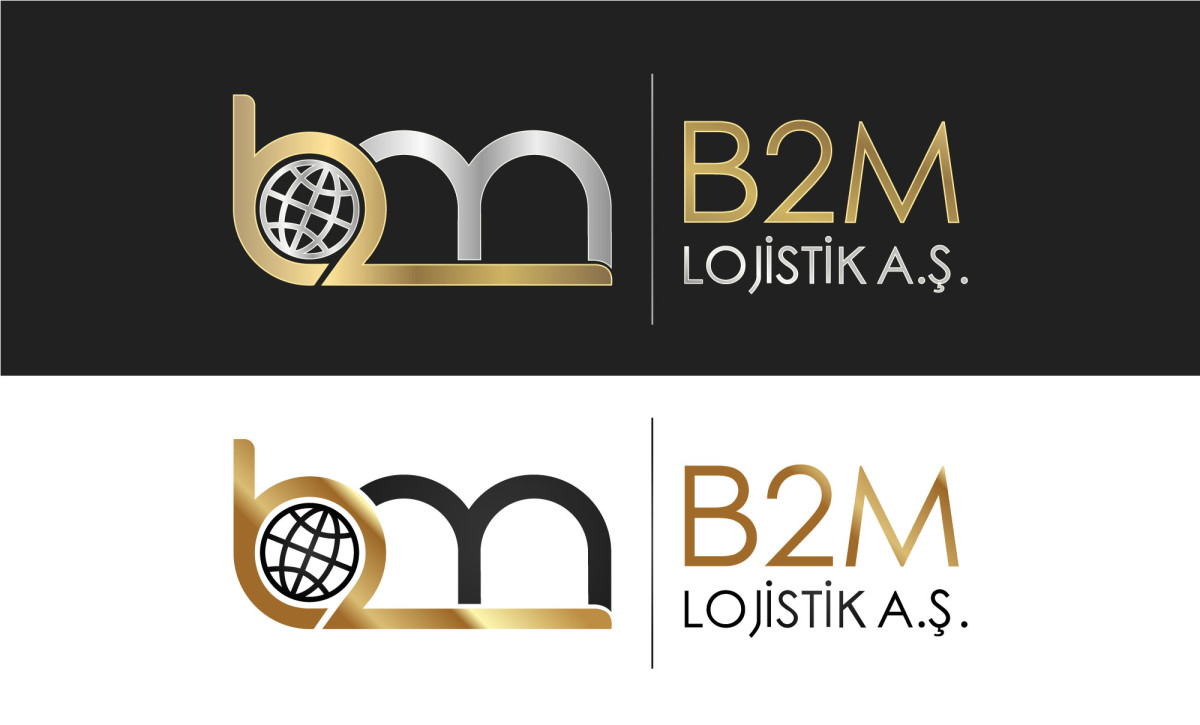 Tasarlayan Graffin_Bey-Lojistik şirketi kurumsal+logo 