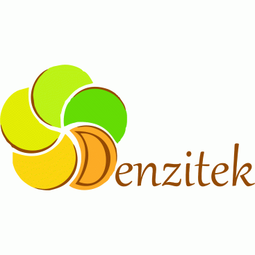 Denzitek Teknoloji A.Ş. Logo Tasarımı yarışmasına tasarımcı ddeniz tarafından sunulan  tasarım 