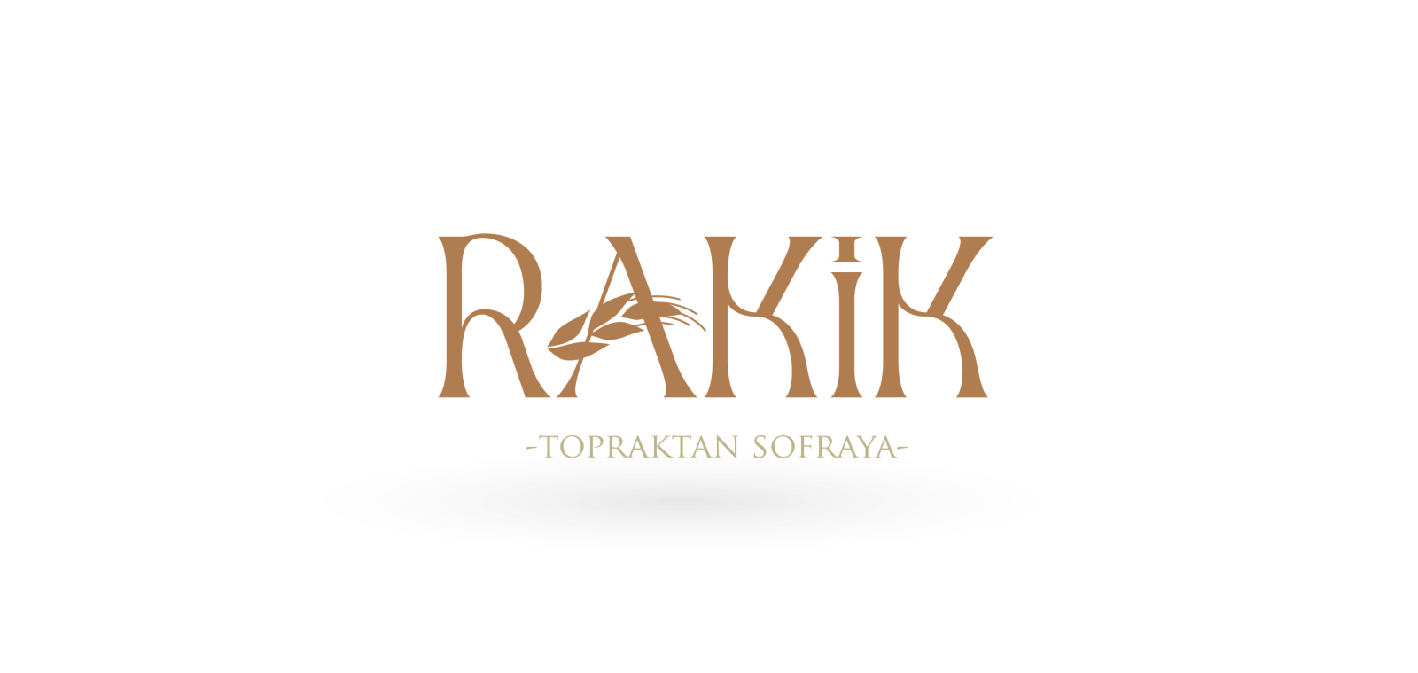 Tasarlayan mmercan-Marka değeri yaratacak logo tasarımı 