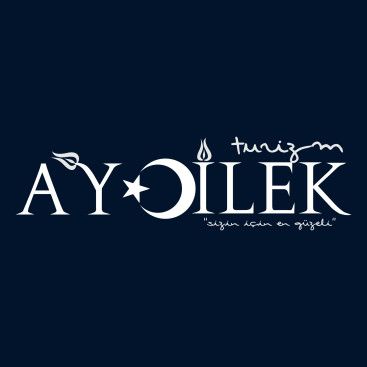 TURİZM TAŞIMA FİRMAMIZA LOGO VE KURUMSAL yarışmasına tasarımcı Kızılelma_03 tarafından sunulan  tasarım 