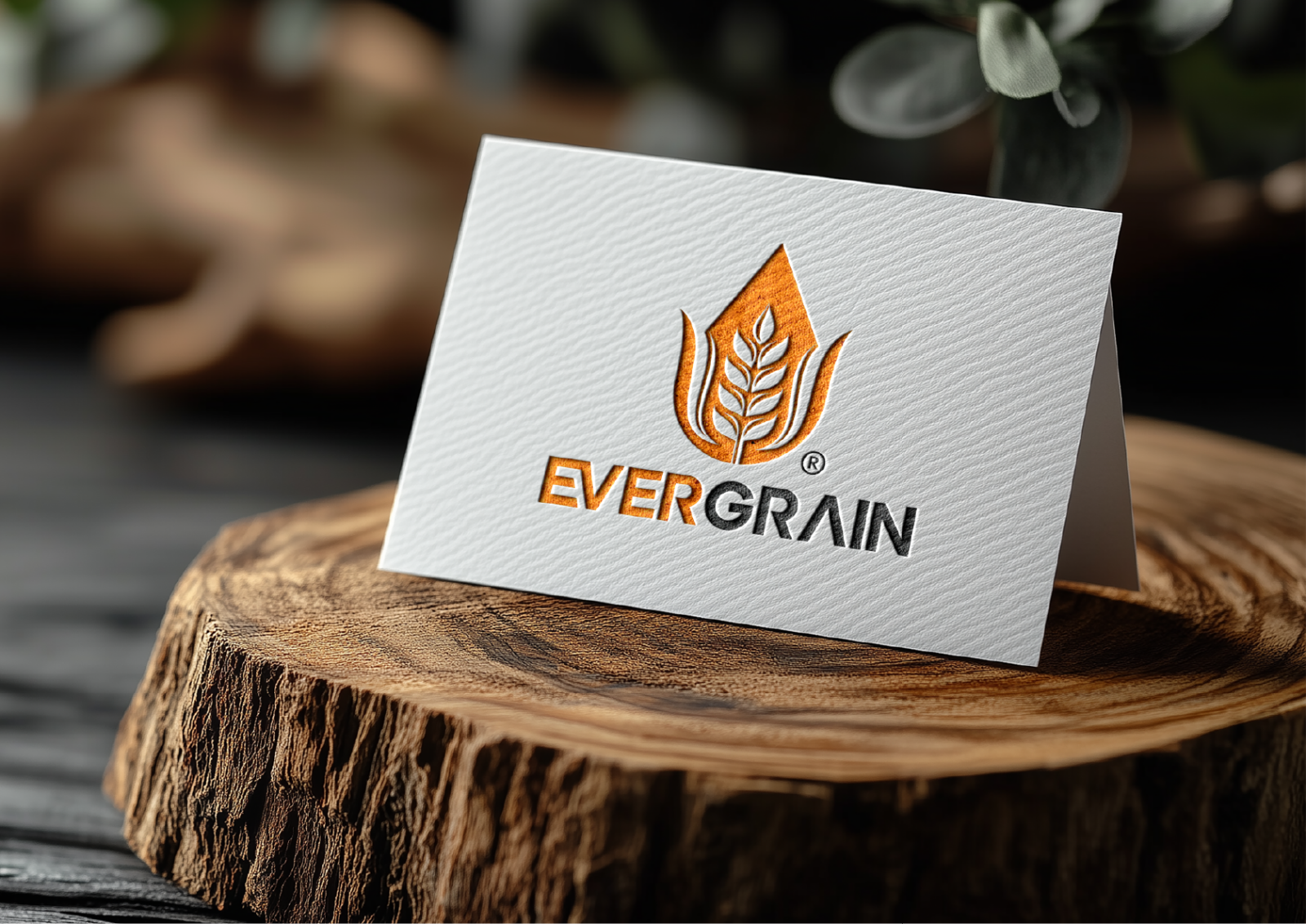 Tasarlayan MS™-EverGrain LLC