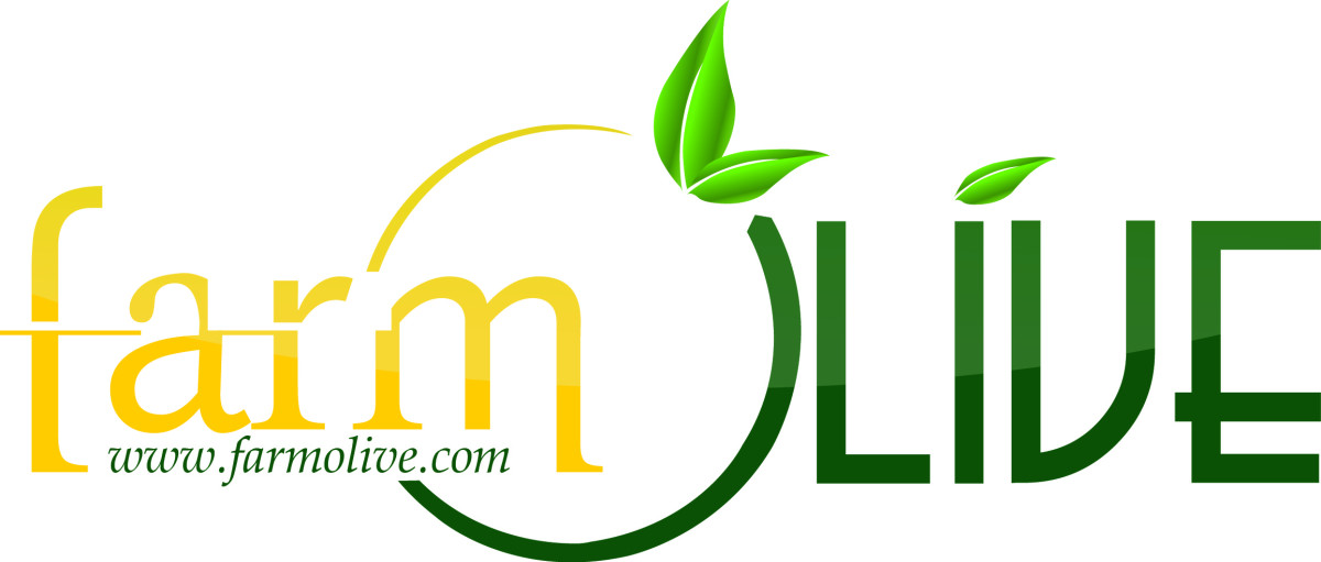 Tasarlayan nuriQocca-Zeytin ve Zeytin Ürünleri İçin Logo