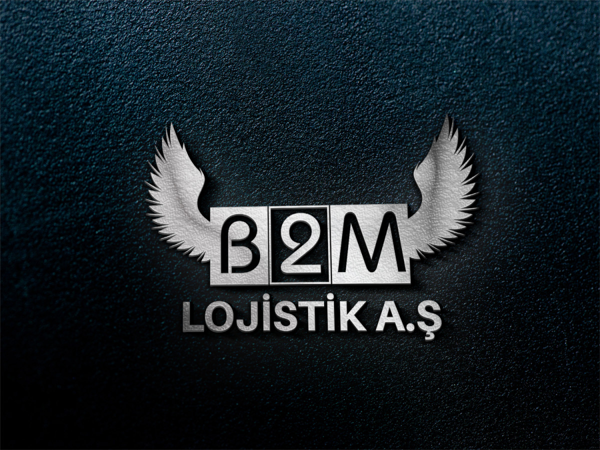 Tasarlayan Technozede-Lojistik şirketi kurumsal+logo 