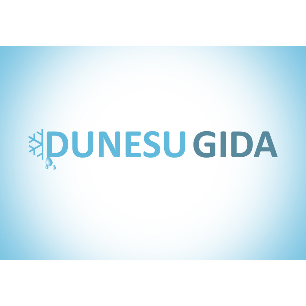 Dondurulmuş Gıda Firma Logo Çalışması
