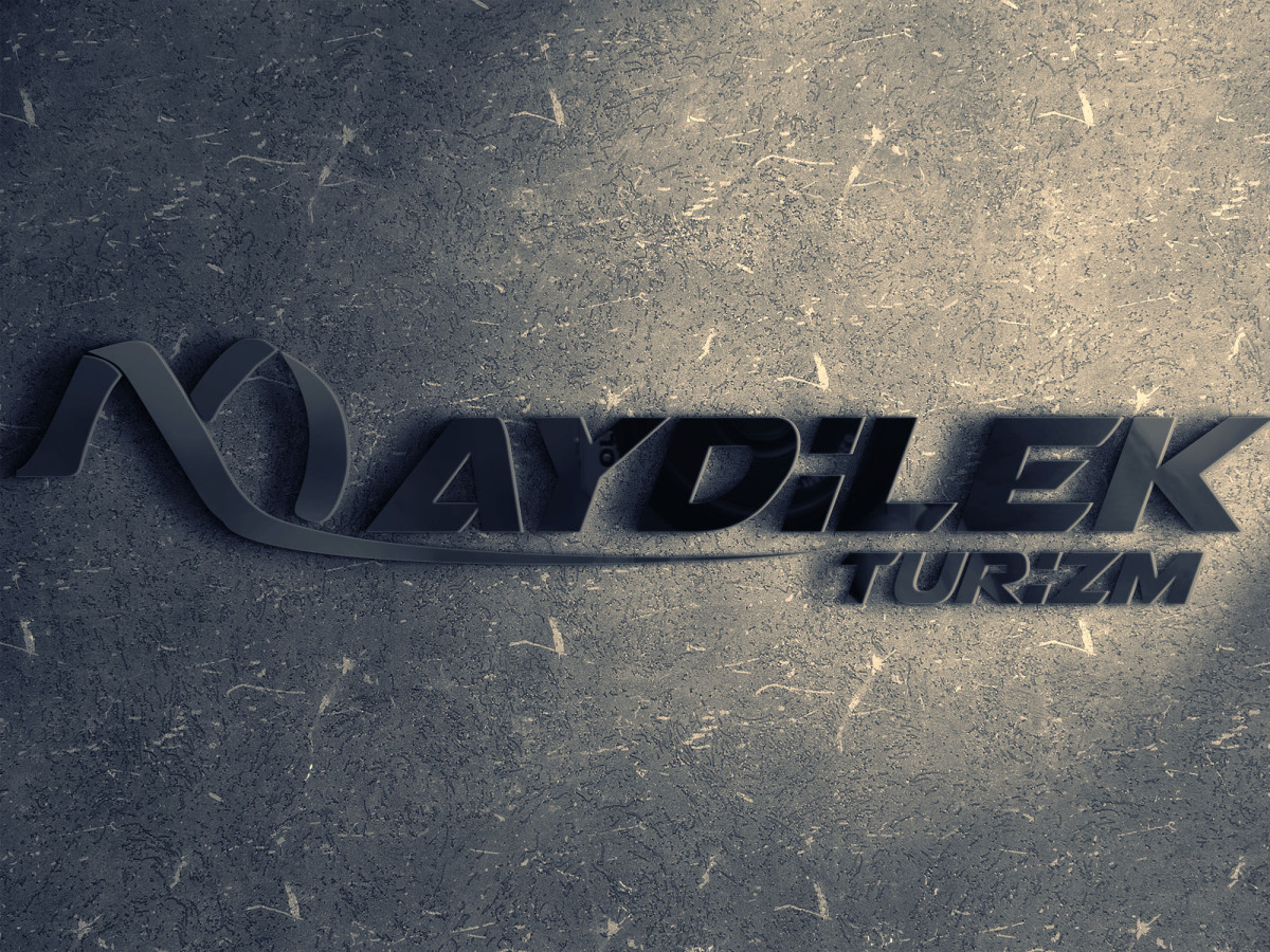 Tasarlayan Kızılelma_03-TURİZM TAŞIMA FİRMAMIZA LOGO VE KURUMSAL