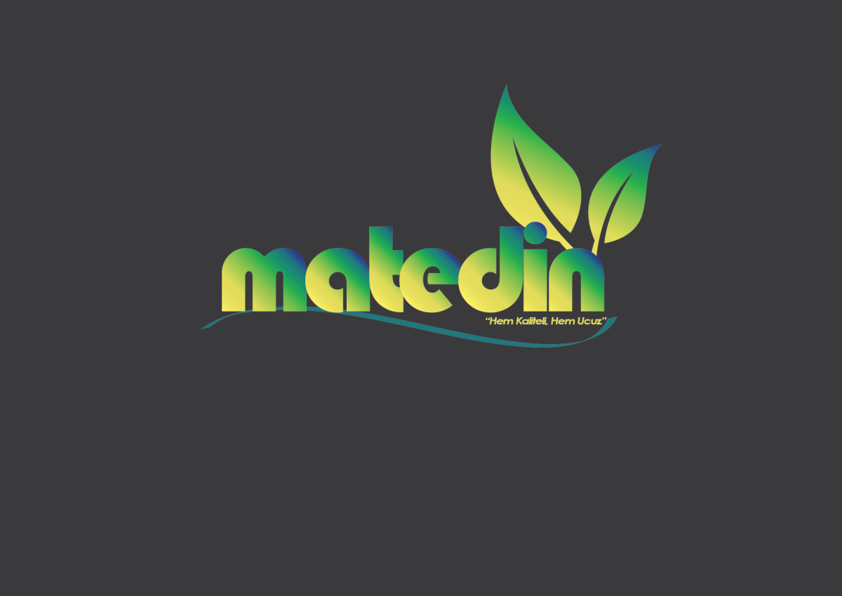 Tasarlayan Heper-E-Ticaret Sitesi Logo Çalışması