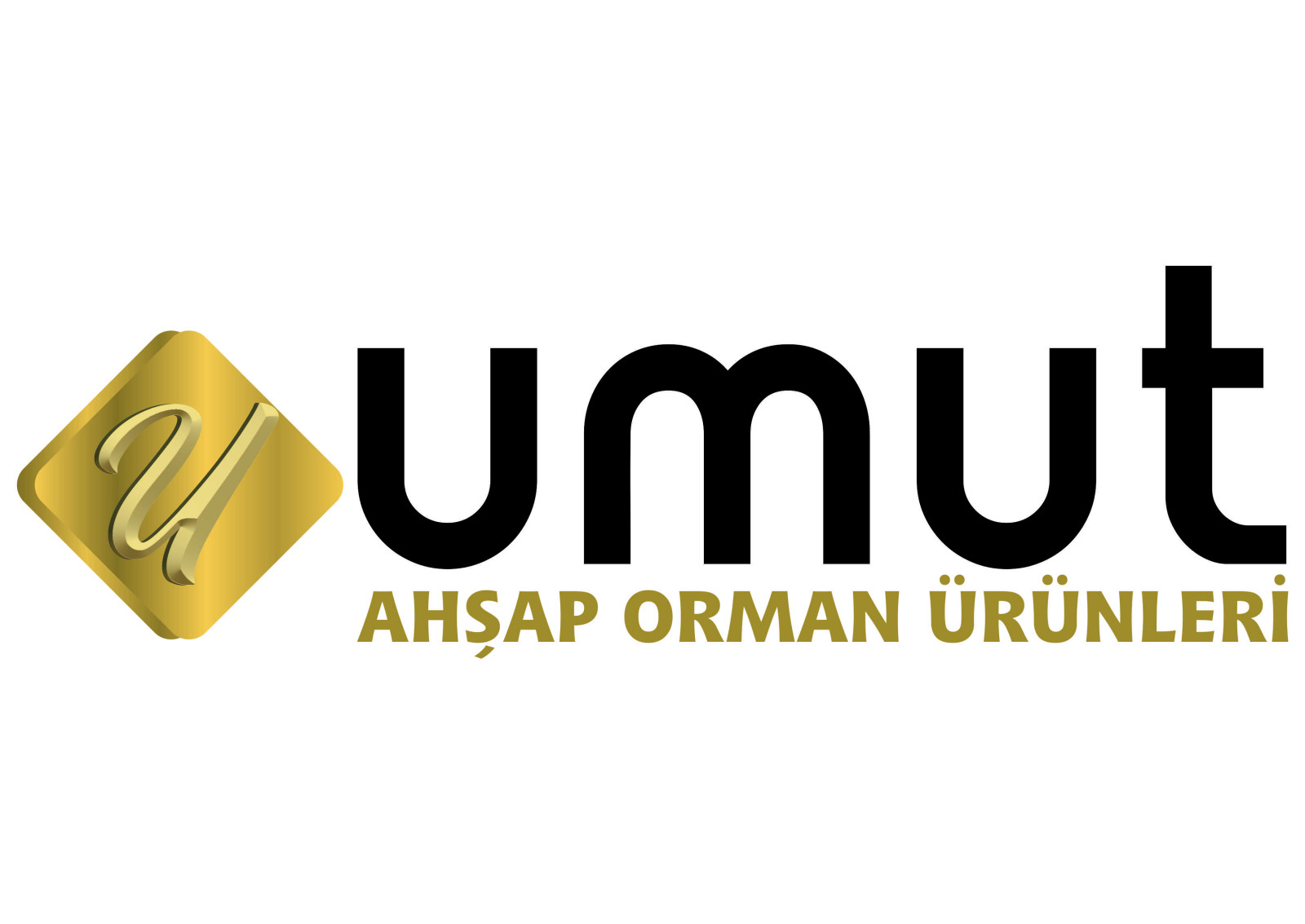 Tasarlayan X264-ilk logo ilk tasarım