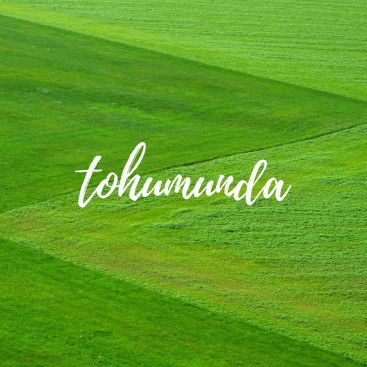 Taze ve Doğal Gıdalarımız için Logo yarışmasına tasarımcı tugberkbilgi tarafından sunulan  tasarım 