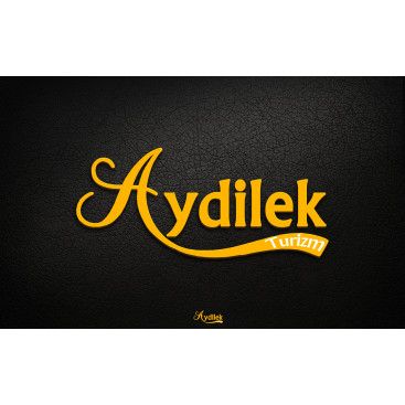 TURİZM TAŞIMA FİRMAMIZA LOGO VE KURUMSAL yarışmasına tasarımcı 724 Designer tarafından sunulan  tasarım 