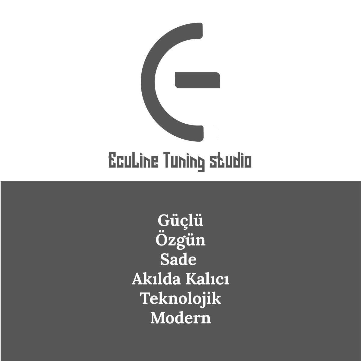 Tasarlayan MucahidYuksel-Ecu performance and Chip Tuning