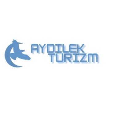 TURİZM TAŞIMA FİRMAMIZA LOGO VE KURUMSAL yarışmasına tasarımcı ayazonline tarafından sunulan  tasarım 
