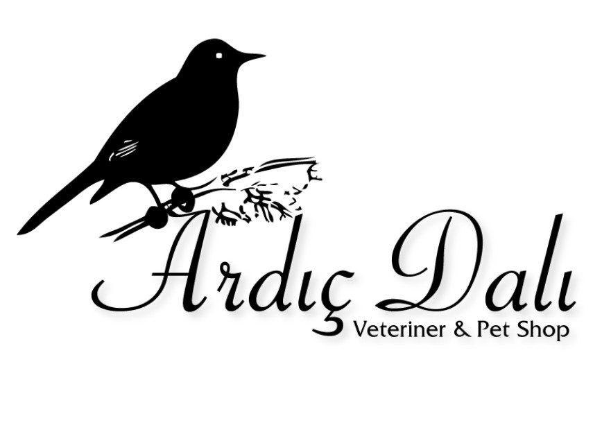 Veteriner ve Petshop  yarışmasına tasarımcı Lyncher tarafından sunulan  tasarım 