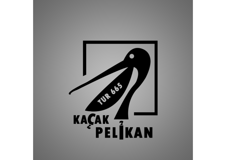 Yelken Takımımız için Logo Tasarımı yarışmasına tasarımcı Barisnrsl tarafından sunulan  tasarım 