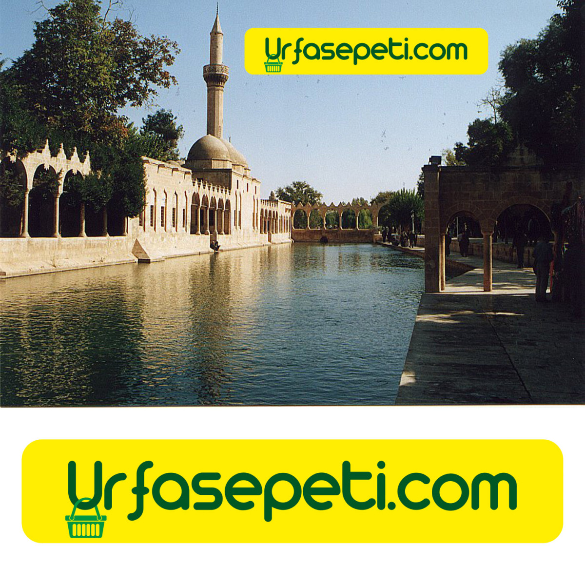 Tasarlayan Pineappleᵀᴹ-UrfaSepeti.com internet sitemize logo