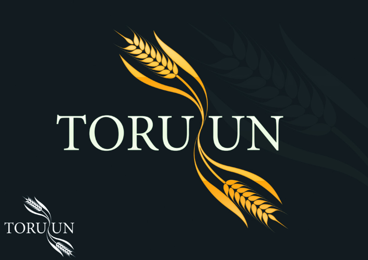 Tasarlayan bitlikedipisfare-UN FABRİKAMIZ İÇİN LOGO ARIYORUZ