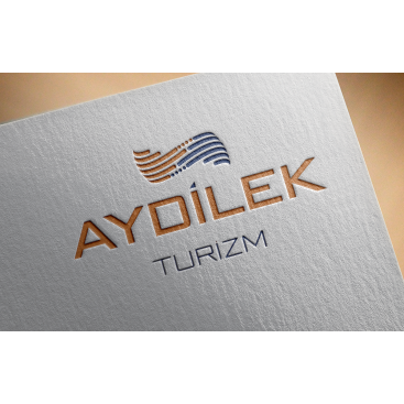 TURİZM TAŞIMA FİRMAMIZA LOGO VE KURUMSAL yarışmasına tasarımcı baylishka tarafından sunulan  tasarım 