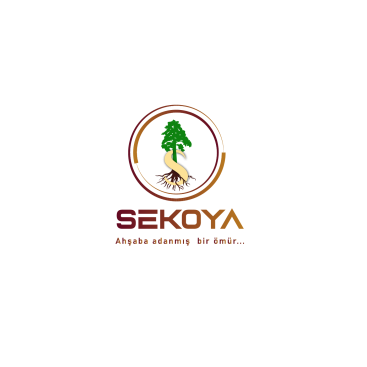 Lüks ahşap yarışmasına tasarımcı izdüsümü tarafından sunulan  tasarım 