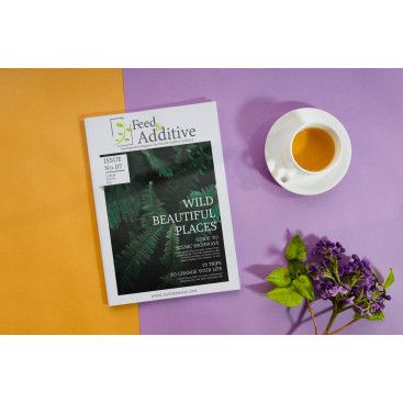 Dergi Logosu Tasarımı yarışmasına tasarımcı comlektegrafik tarafından sunulan  tasarım 