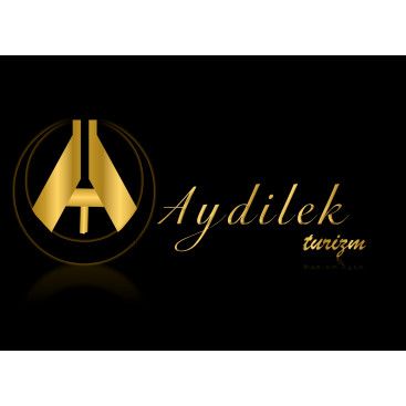 TURİZM TAŞIMA FİRMAMIZA LOGO VE KURUMSAL yarışmasına tasarımcı KnockOut tarafından sunulan  tasarım 