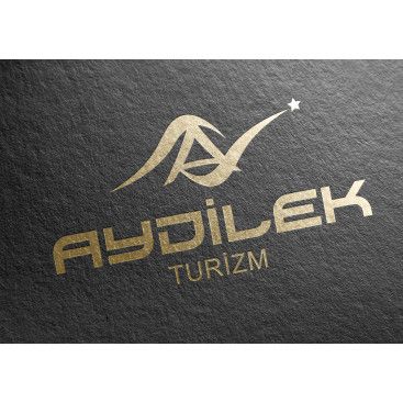 TURİZM TAŞIMA FİRMAMIZA LOGO VE KURUMSAL yarışmasına tasarımcı siliconvalley tarafından sunulan  tasarım 